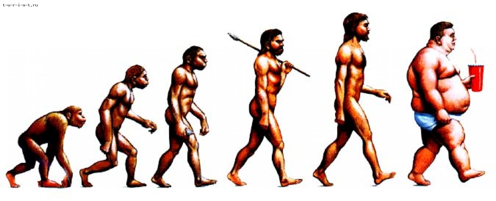 evolution.jpg